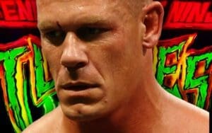 John Cena's 'Teenage Mutant Ninja Turtles' Movie Fails to Secure Wins at Annie Awards