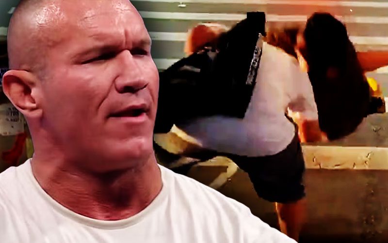 Randy Orton Advocates for Jail Time Against Individual Hitting RKO on Unwitting Strangers