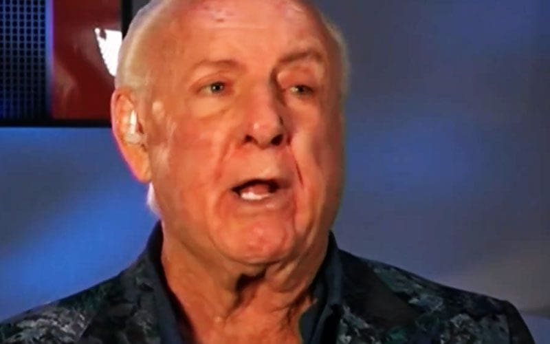 Ric Flair Reveals Past Governorship Ambitions Were Foiled by Past Controversies