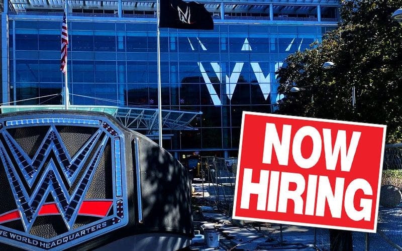 WWE Hiring Coordinator for Creative Writing in the Executive Director’s Office