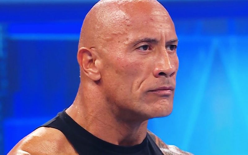 The Rock Called Out For Being Lazy After Missing 2024 WWE Elimination Chamber
