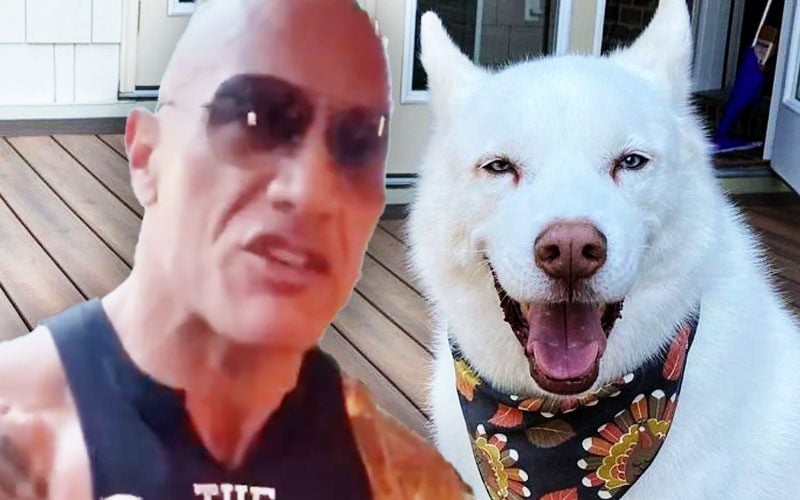 Cody Rhodes’ Sister Calls Out The Rock for Taking Aim at Pharaoh