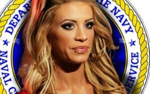 NCIS Investigation Exposes New Details in Ashley Massaro's Assault Claims