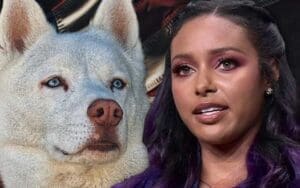 Brandi Rhodes Acknowledges Pharoah As The Head Of The Table