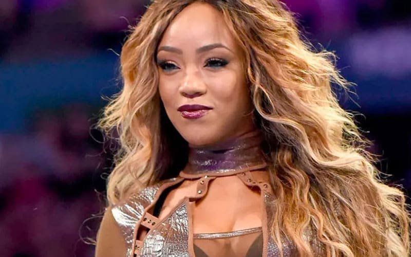 Fan Auctions Off Sasha Banks' Hair Strands on