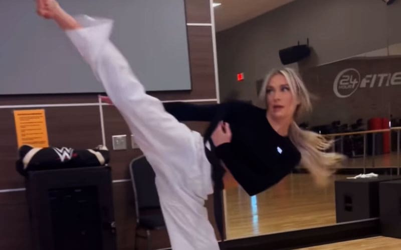 wwe-nxts-karmen-petrovic-revives-her-karate-background-in-spectacular-display-45