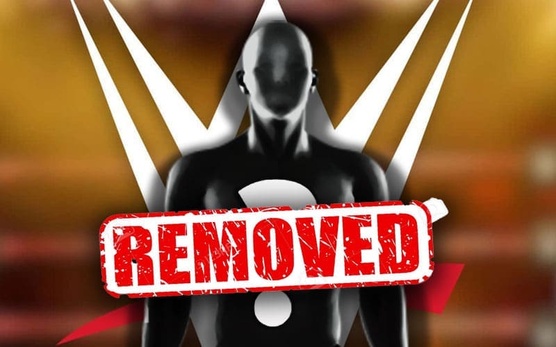 wwe-superstar-removed-from-the-active-roster-58