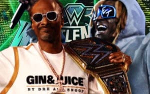 a-list-roll-call-snoop-dogg-lil-wayne-jake-paul-and-celebs-turn-heads-at-wrestlemania-40-28