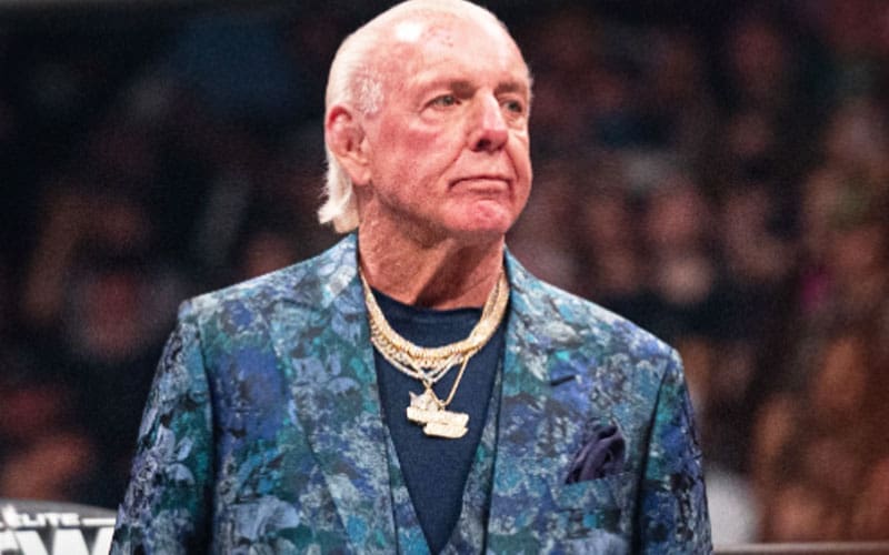 belief-that-ric-flair-couldnt-help-aew-if-his-life-depended-on-it-37
