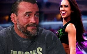 CM Punk Provides Update on AJ Lee's Potential WWE Return