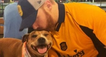 sheamus-reflects-on-the-passing-of-his-beloved-dog-with-emotional-tribute-18