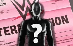 Another WWE NXT Release Confirmed