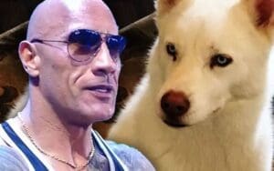 Brian Gewirtz Eyes Reigniting The Rock’s Feud with Cody Rhodes’ Dog Pharaoh Brian Gewirtz Eyes Reigniting The Rock's Feud with Cody Rhodes' Dog Pharaoh