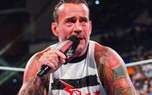 CM Punk’s In-Ring Return Timeline After Triceps Injury Unveiled CM Punk's In-Ring Return Timeline After Triceps Injury Unveiled