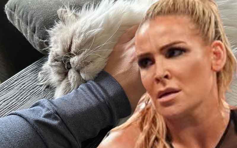 natalya-announces-her-cat-struggling-with-cancer-05