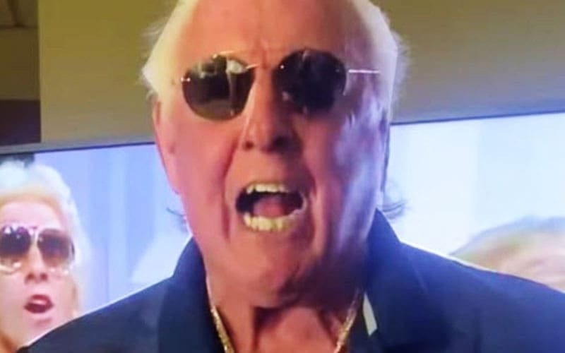 ric-flair-kicked-out-of-restaurant-after-incident-with-kitchen-manager-26
