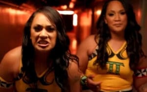 Nikki Bella’s WWE Return Sparks Challenge from The Tonga Twins Tonga Twins Fire Back at Accusations of Bullying and Injuring WOW Wrestlers