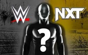 WWE NXT Standout Poised for Main Roster Call-Up