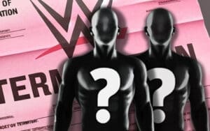 Likelihood of WWE Changing Strategy for Future Releases Revealed WWE Releases Several Talent From Their Contracts
