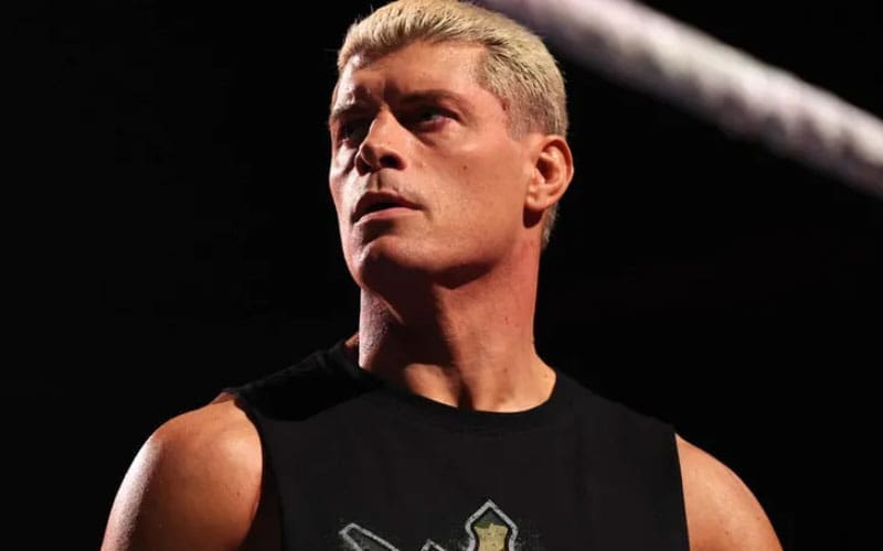 cody-rhodes-sees-a-red-flag-when-veterans-say-theyre-in-it-for-young-talent-35