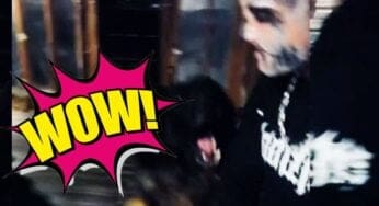 Dog Viciously Attempts to Take Darby Allin’s Nose Off