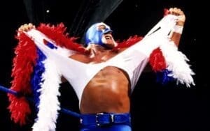 ex-wwe-star-reveals-truth-behind-hulk-hogans-mr-america-gimmick-31