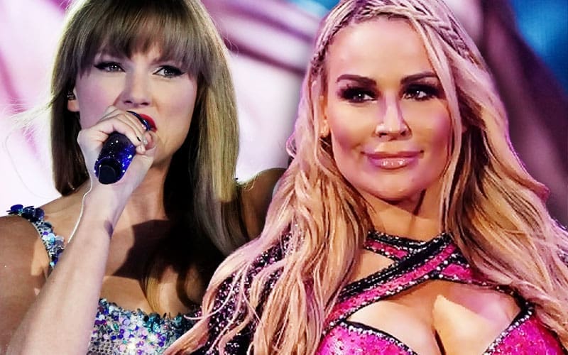 natalya-drops-more-hints-of-wwe-exit-with-loaded-taylor-swift-lyrics-on-instagram-30