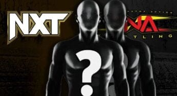 potential-spoiler-on-tna-talents-next-appearance-in-wwe-nxt-03