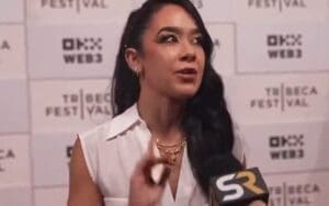 AJ Lee Addresses Future Endeavors Amidst WWE Return Speculations