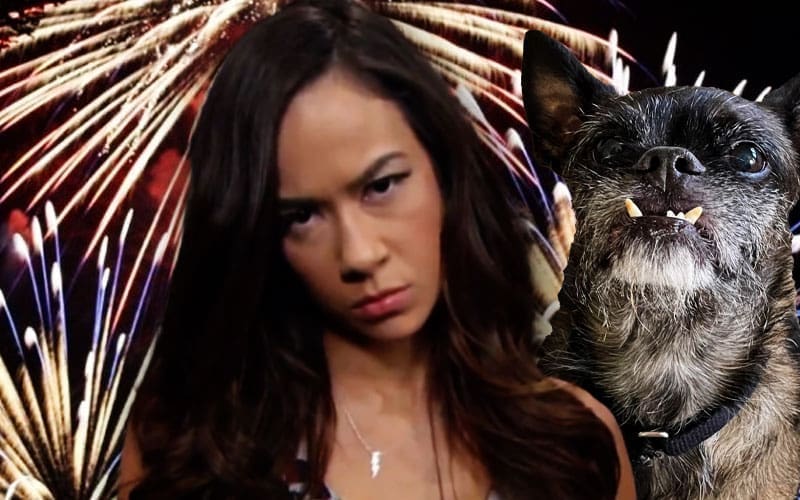 aj-lee-ready-to-square-up-over-scaring-her-pup-larry-with-july-4th-fireworks-44