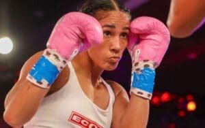 Amanda Serrano Expresses Desire to Transition to WWE Competition