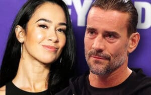 CM Punk Allegedly Working to Get AJ Lee Back in Wrestling