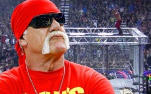 Hulk Hogan Questions Adam Copeland's High-Risk Move at AEW Double or Nothing