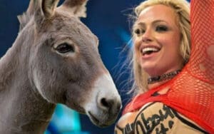 Liv Morgan Gave Her Pet Donkey A Very Interesting Name Liv Morgan Gave Her Pet Donkey A Very Interesting Name