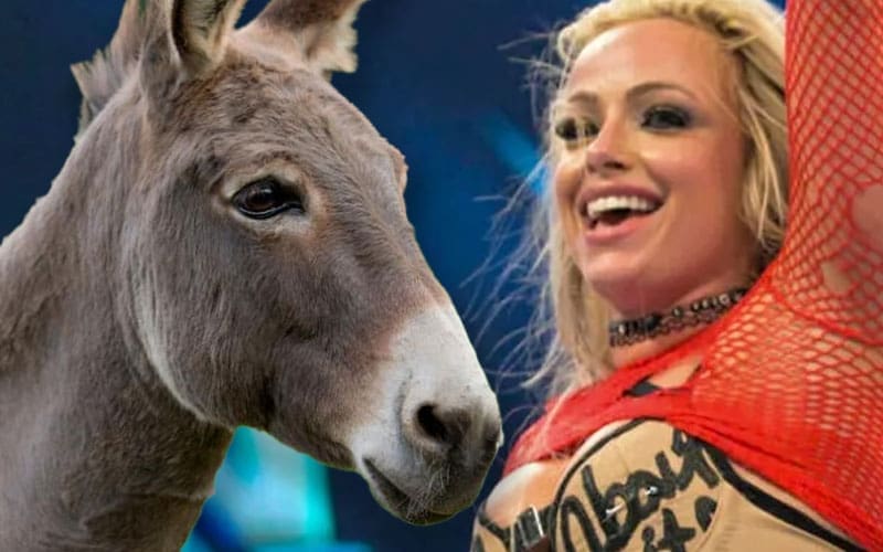 liv-morgan-gave-her-pet-donkey-a-very-interesting-name-40