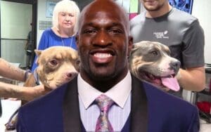 Titus O'Neil Makes Local Headlines After Rescuing Abandoned Dogs