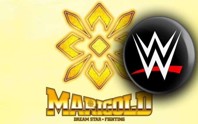 unadvertised-wwe-superstar-present-at-recent-marigold-event-43