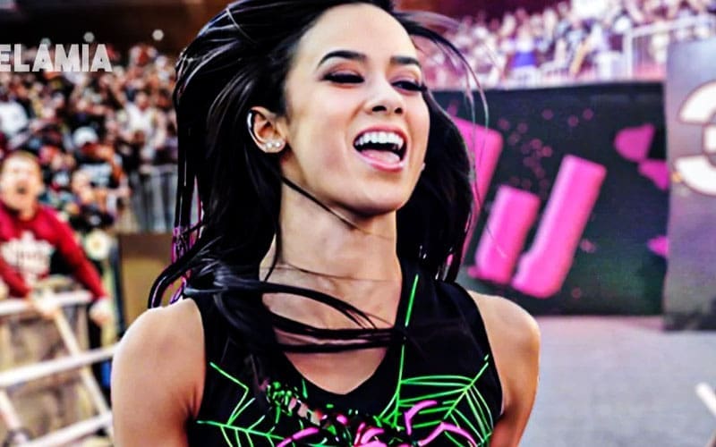 aj-lee-receives-backing-for-wwe-return-19