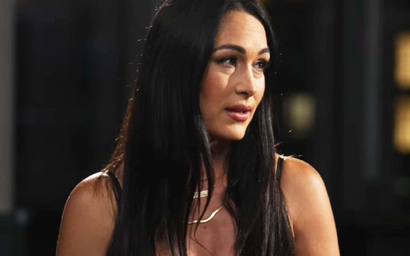 brie-bella-admits-she-feels-conflicted-about-bryan-danielsons-retirement-25