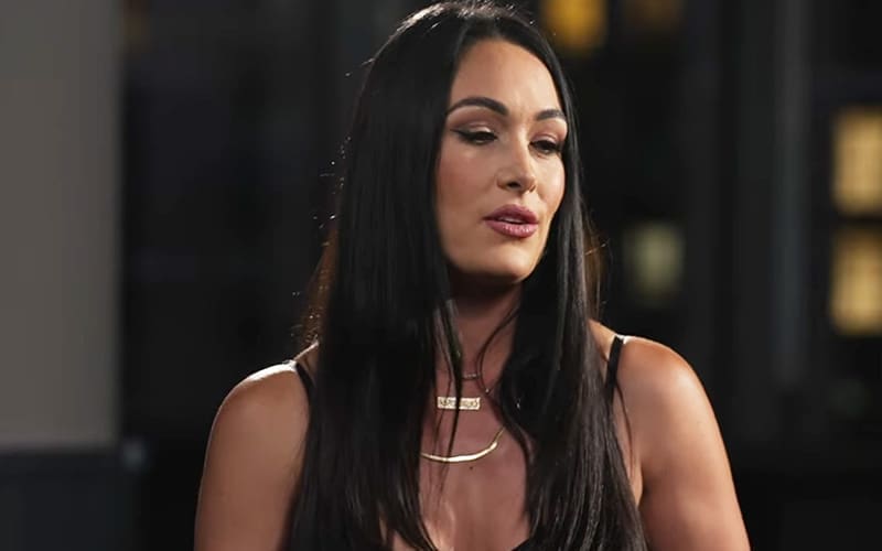 brie-bella-and-kids-confirmed-to-attend-aew-all-in-for-bryan-danielsons-big-night-54