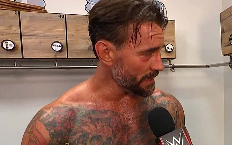 cm-punk-sets-his-sights-on-world-heavyweight-championship-after-bash-in-berlin-win-53