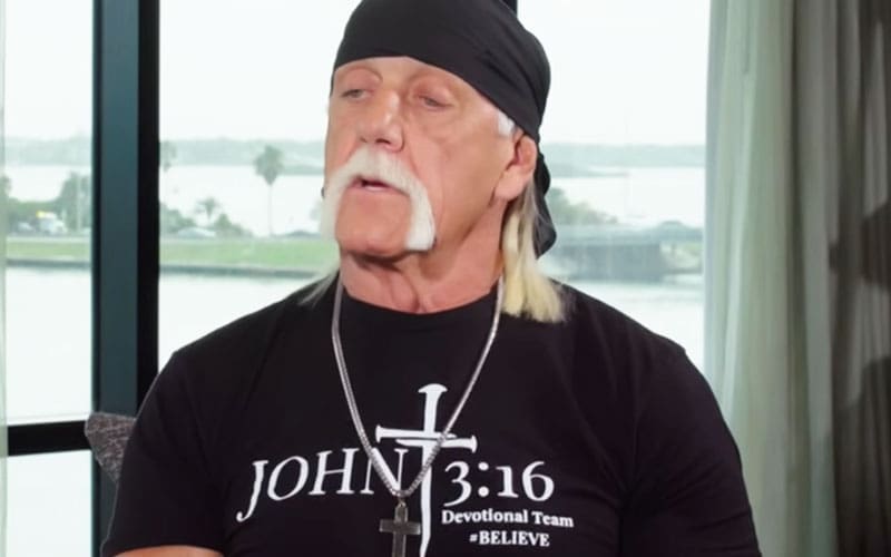 ex-wwe-star-regrets-ever-being-a-hulk-hogan-fan-after-racially-insensitive-remarks-34