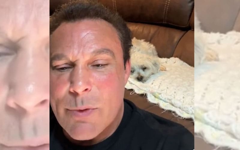 former-wwe-superstar-marc-mero-shares-sad-news-about-his-beloved-dog-rocco-07