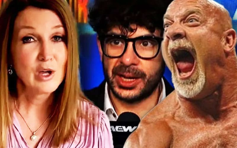 former-wwe-writer-defends-tony-khan-over-goldbergs-male-dixie-remark-11