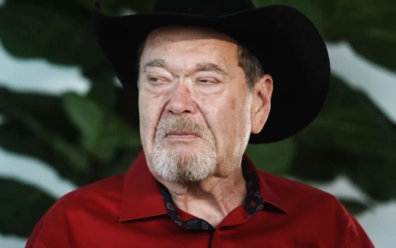 jim-ross-questions-how-many-big-events-like-aew-all-in-hell-get-to-call-in-the-future-39