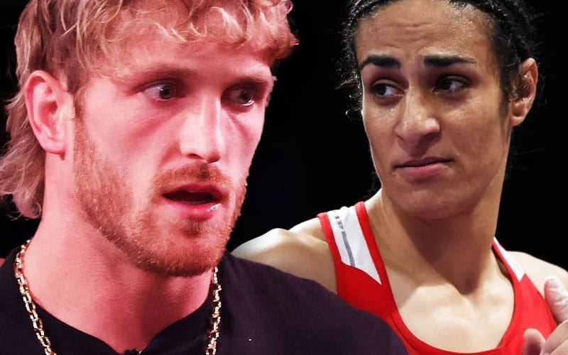 logan-paul-doubles-down-on-anti-transgender-views-amidst-boxing-match-controversy-17