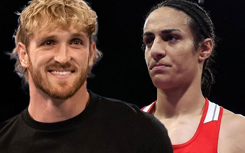 logan-paul-gains-fan-support-in-wake-of-transphobia-allegations-after-boxing-controversy-48