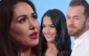 Brie Bella Urged Nikki Bella to Divorce Artem Chigvintsev After Domestic Violence Arrest