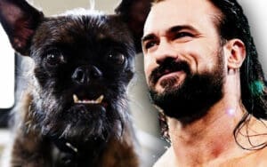 drew-mcintyre-taunts-cm-punks-dog-larry-ahead-of-hell-in-a-cell-match-at-wwe-bad-blood-48