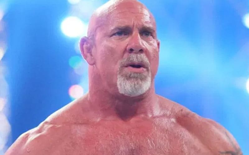 goldberg-accused-of-intentionally-hurting-former-wwe-writer-after-concussion-59